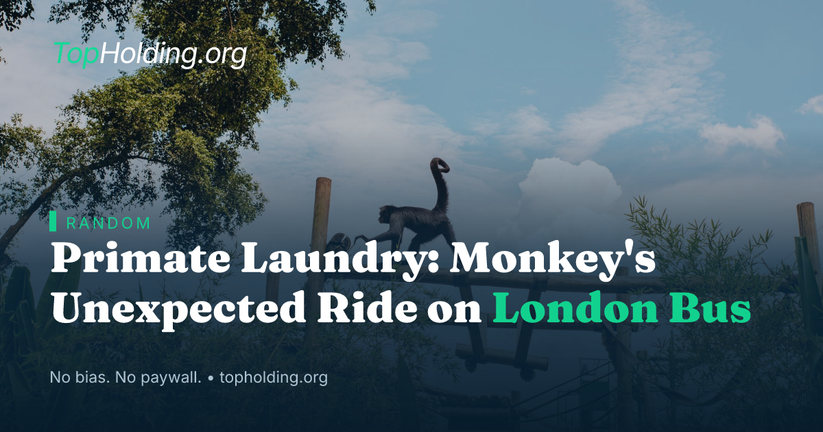 Primate Laundry: Monkey's Unexpected Ride on London Bus