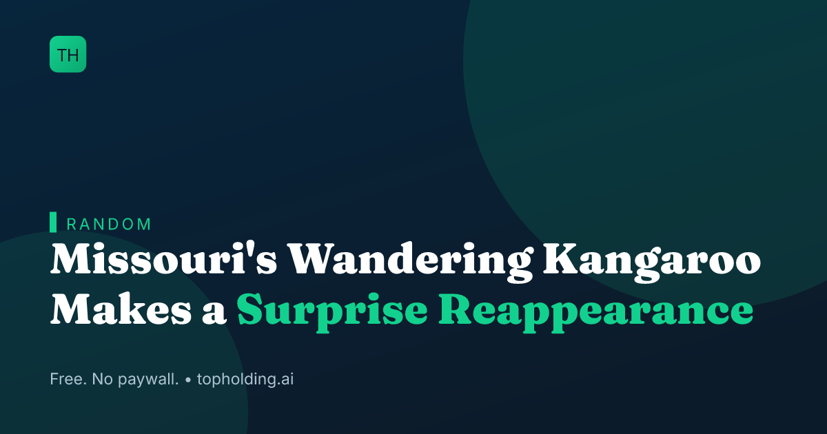Missouri's Wandering Kangaroo Makes a Surprise Reappearance