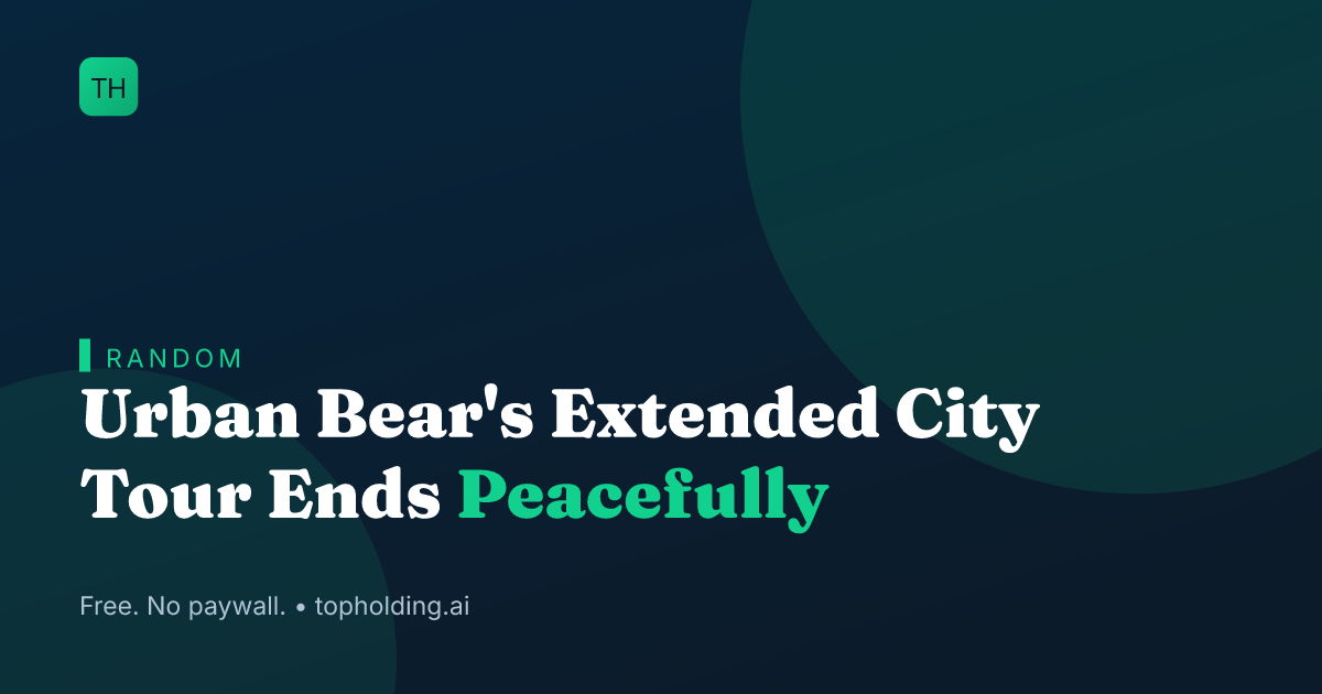 Urban Bear's Extended City Tour Ends Peacefully