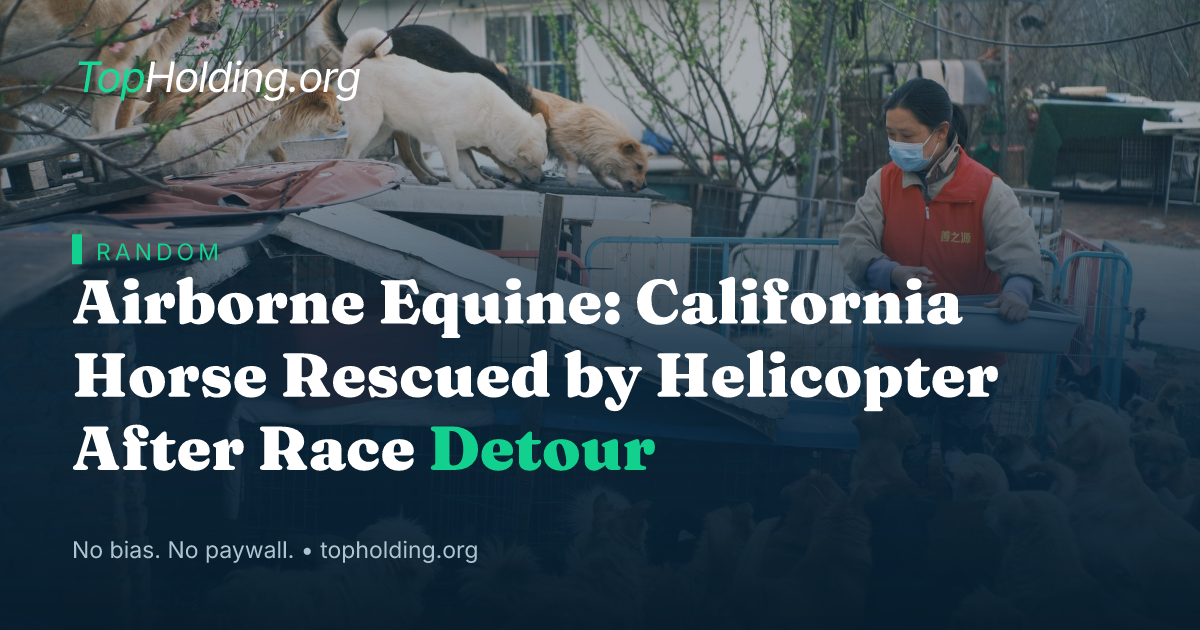 Airborne Equine: California Horse Rescued by Helicopter After Race Detour